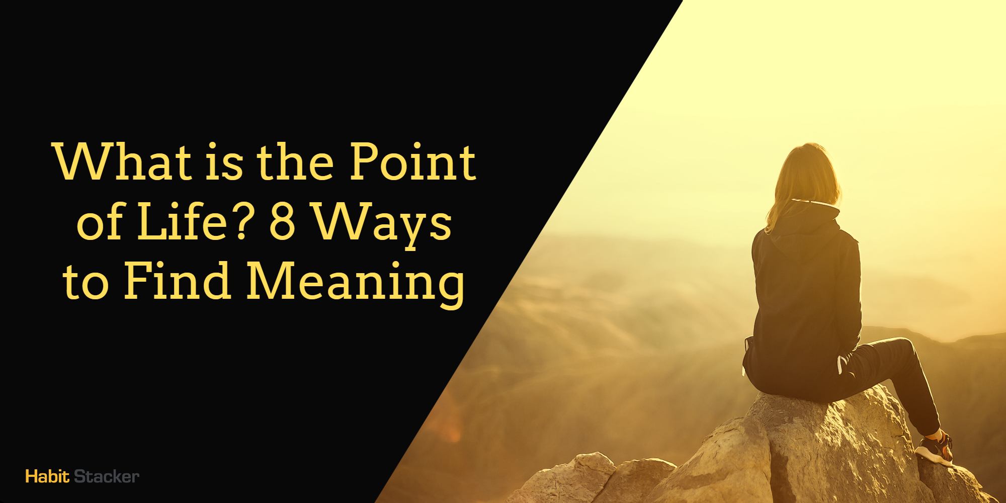 What is the Point of Life?