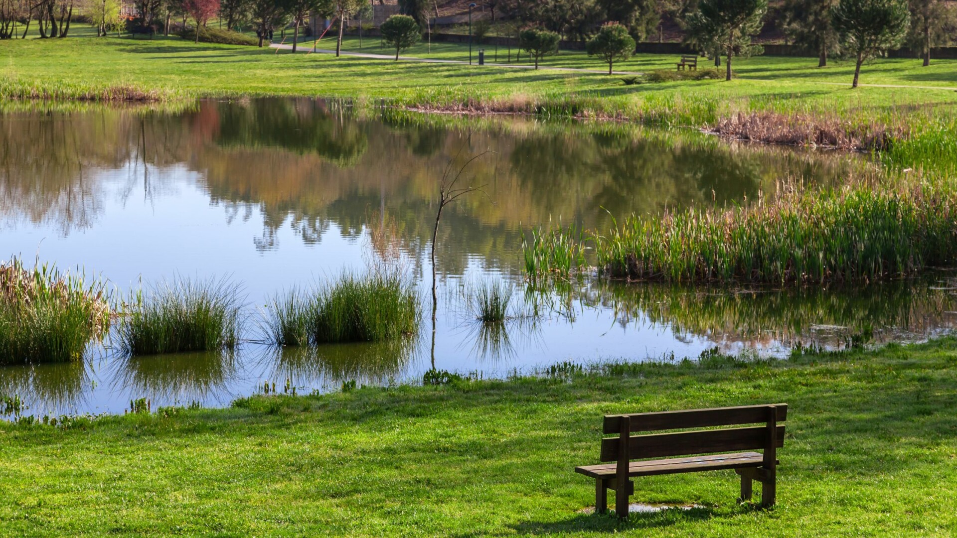 Building Up: Why Infrastructure Benefits Local Communities