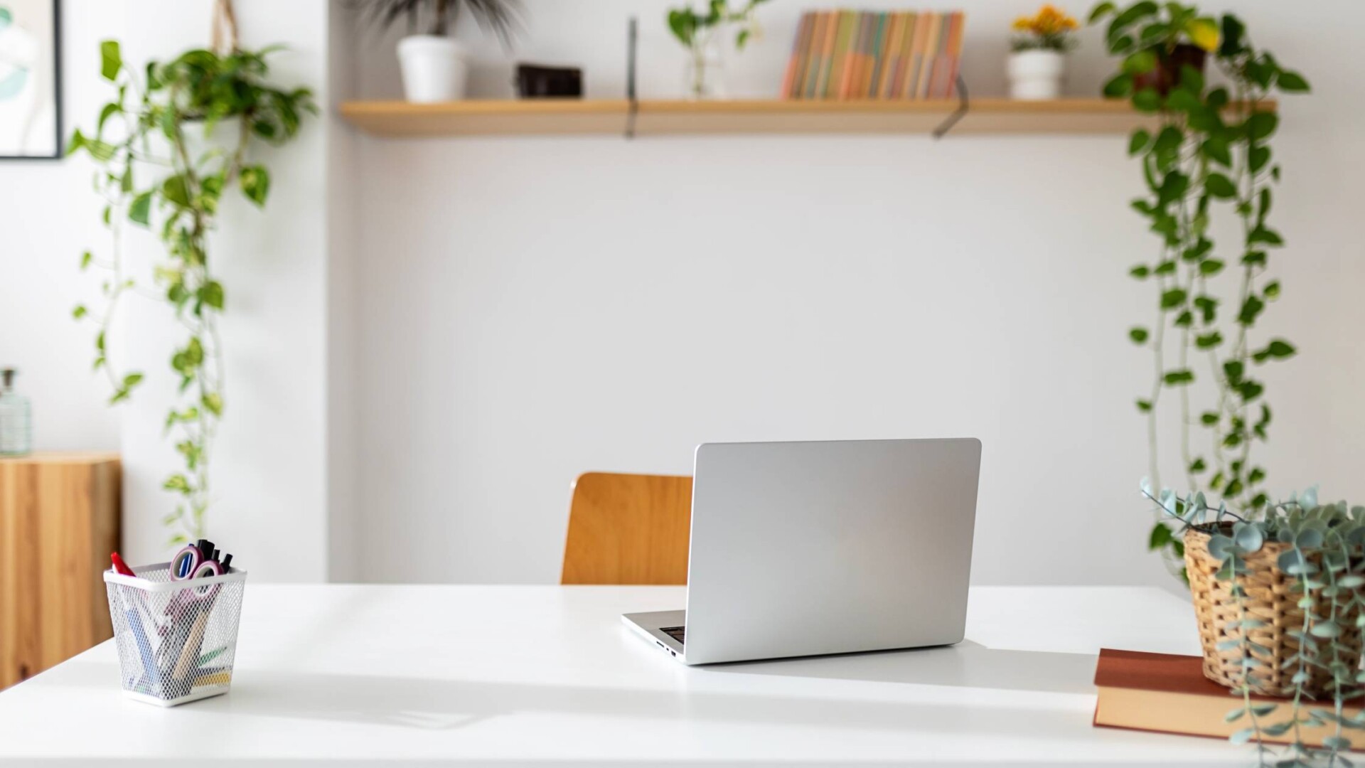 An office with green plants, a wooden chair, and a desk with a laptop, pens, and a book neatly organized.