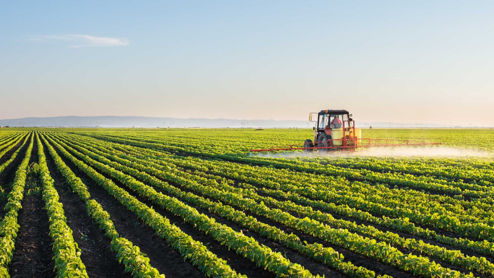 A large tractor spraying a field of crops on a sunny day with blue skies, few clouds, and a mountain in the distance.