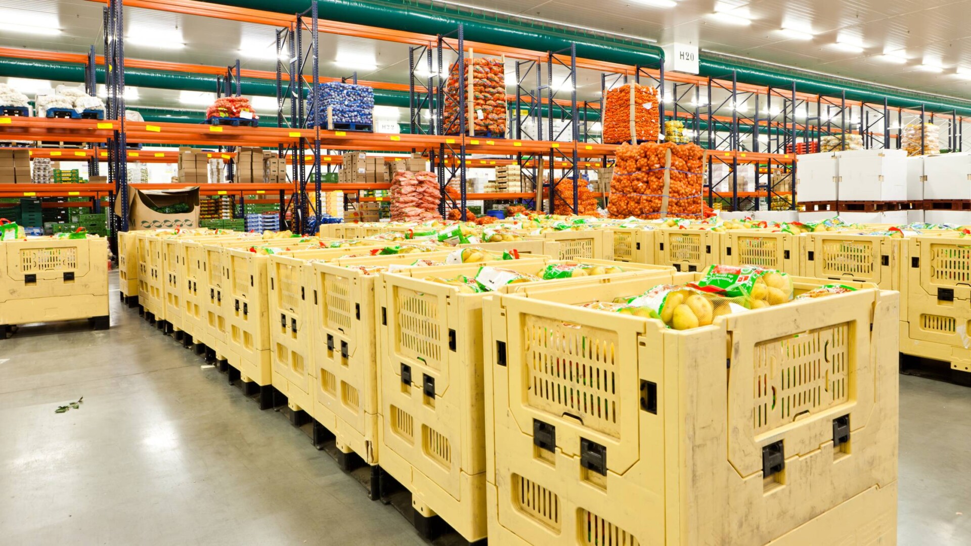 A large cold storage facility with pallets and cardboard bins full of fresh produce. The rafters are orange.