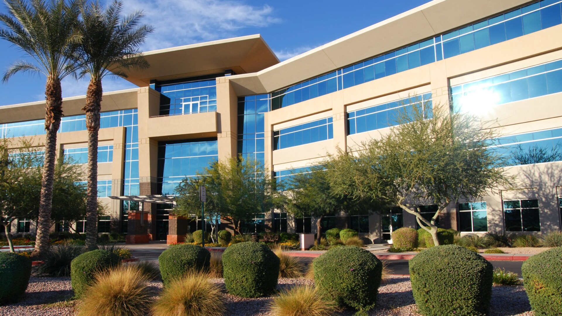 The front of a large, multi-story commercial building with an organized landscape containing various bushes, trees, and rocks.