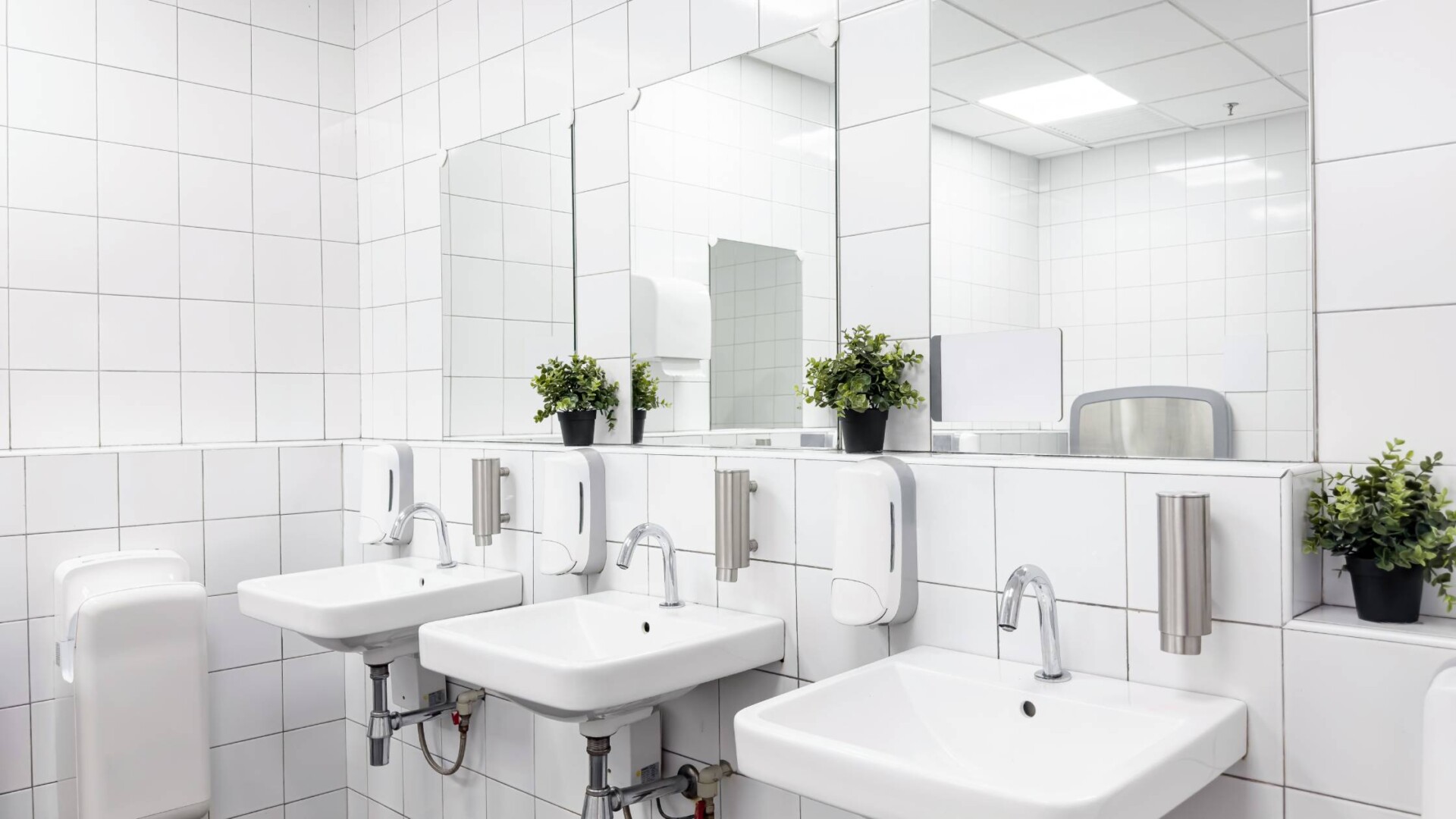 A public bathroom's hand washing area. The room has three sinks and a small plant sitting on the counter behind each sink.