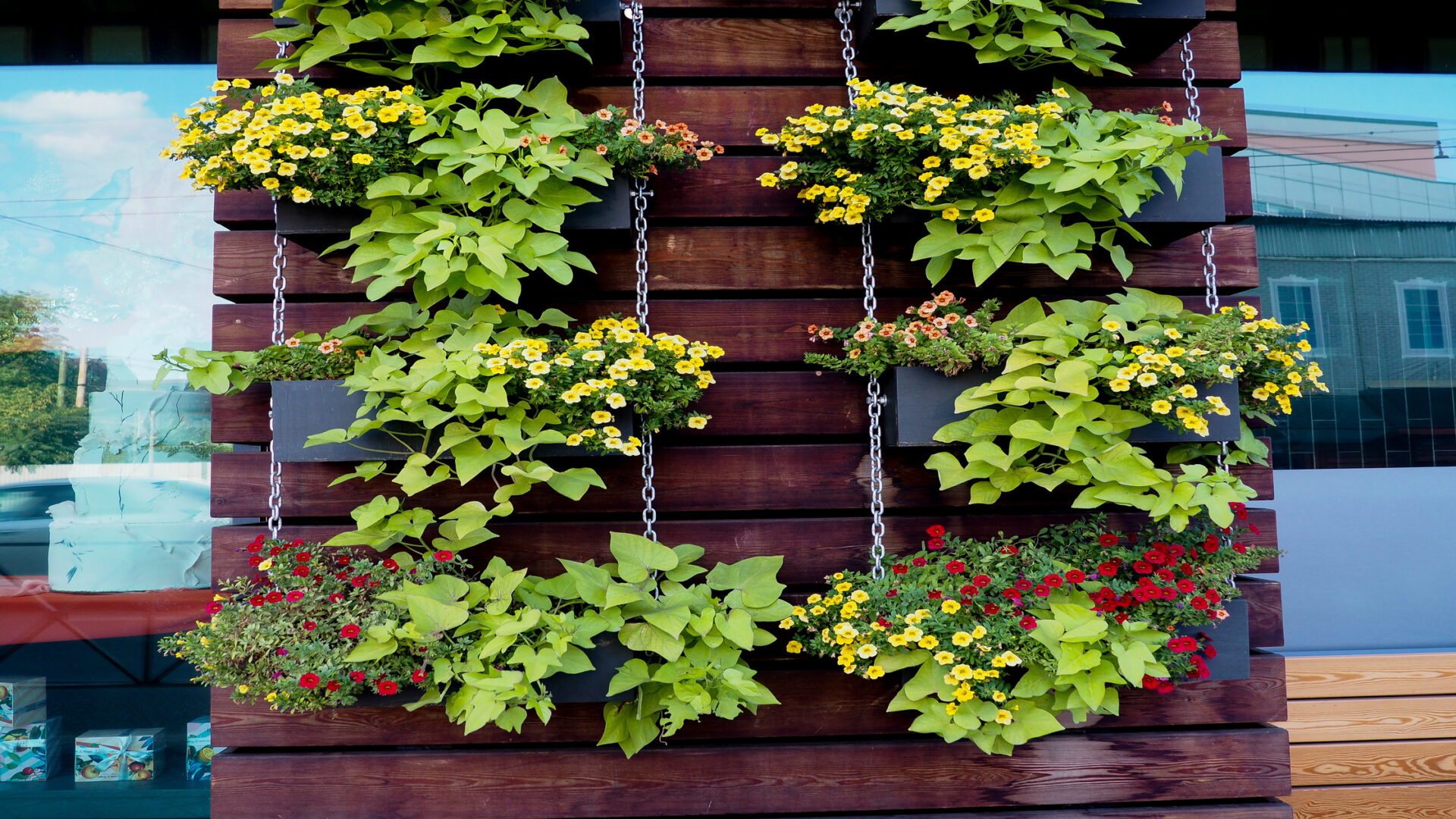 A vertical garden setup installed on the side of a home. Several flowers and plants grow from black pots.