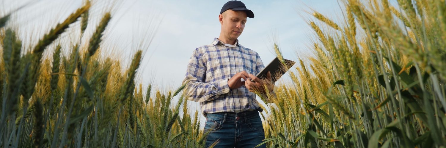 A man wearing a plaid shirt and a black cap stands in the middle of a wheat field, holding a tablet.