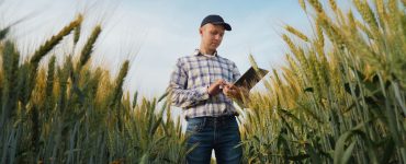 A man wearing a plaid shirt and a black cap stands in the middle of a wheat field, holding a tablet.